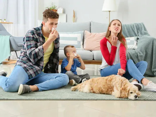 Allergic Asthma: Causes, Symptoms, Diagnosis, and Treatment